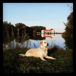 Hotel Villa Natura Garabonc - Környék