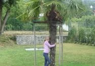 Halászkert Hotel és Étterem Badacsonytomaj