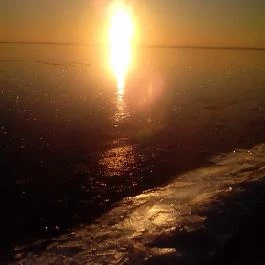 Hotel Lido, Vonyarcvashegy - Környék