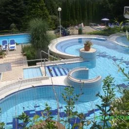 Ensana Thermal Aqua, Hévíz - Medence/kert