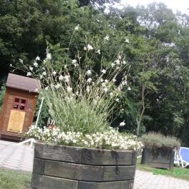 Ensana Thermal Aqua, Hévíz - Belső