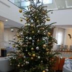 Willis Hotel Business & Wellness Zalaegerszeg - Egyéb