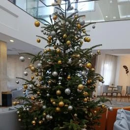 Willis Hotel Business & Wellness, Zalaegerszeg - Egyéb