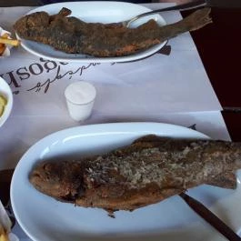 Erdei Halsütöde Lillafüred - Étel/ital