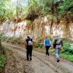 Hotel Cabernet Villánykövesd - Környék