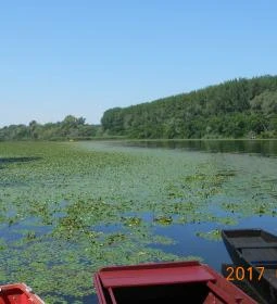 Hullámtér Vendéglő