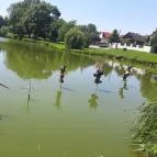 Hotel Európa Gunaras Dombóvár - Környék