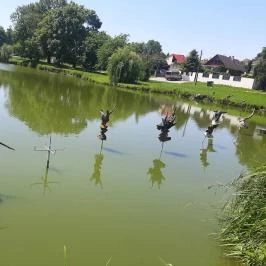 Hotel Európa Gunaras Dombóvár - Környék