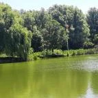 Hotel Európa Gunaras Dombóvár - Környék