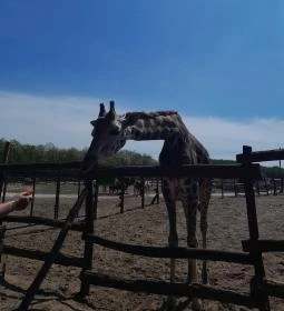 Richter Safari Park