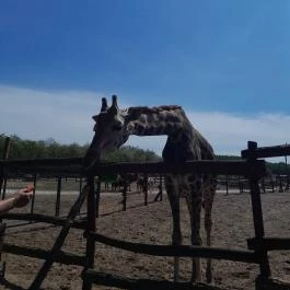 Richter Safari Park Nagykőrös - Külső kép