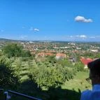 Bagolyvár Vendéglő Pécs - Egyéb