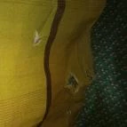 Hotel Napfény Balatonlelle Balatonlelle - Egyéb