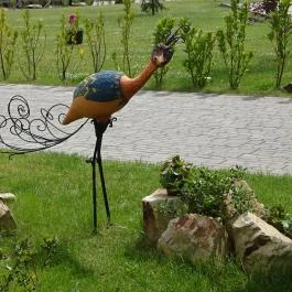 Castellum Hotel Hollókő, Hollókő - Medence/kert