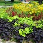 Fióka Budapest - Egyéb