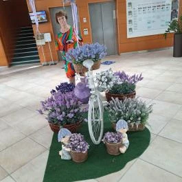 Hunguest Hotel Aqua-Sol, Hajdúszoboszló - Egyéb