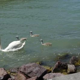 Hotel Azúr, Siófok - Egyéb