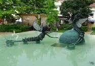 Kérészek násztánca Szolnok