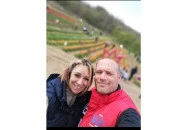 Kőröshegyi Tulipánszüret Kőröshegy