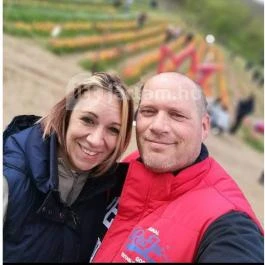 Kőröshegyi Tulipánszüret Kőröshegy - Egyéb