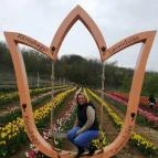 Kőröshegyi Tulipánszüret Kőröshegy - Külső kép