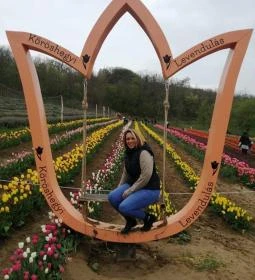 Kőröshegyi Tulipánszüret