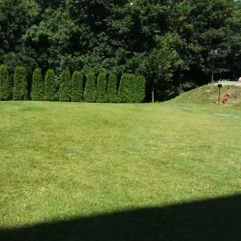 Calimbra Konferencia & Wellness Hotel Miskolctapolca - Medence/kert