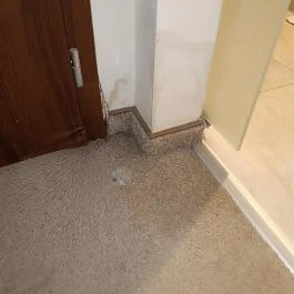 Oázis Wellness Park Panzió Szigetszentmiklós - Egyéb