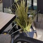 Incognito Coffee Cegléd - Külső kép