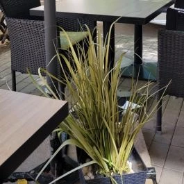 Incognito Coffee, Cegléd - Külső kép