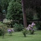 Erdőfénye Kastély Szálló Erdőbénye - Környék