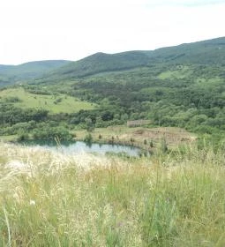 Erdőfénye Kastély Szálló