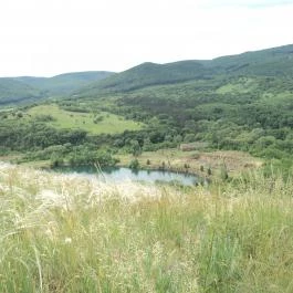 Erdőfénye Kastély Szálló, Erdőbénye - Környék