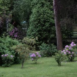 Erdőfénye Kastély Szálló, Erdőbénye - Környék