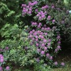 Erdőfénye Kastély Szálló Erdőbénye - Környék