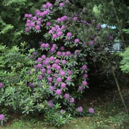 Erdőfénye Kastély Szálló, Erdőbénye - Környék