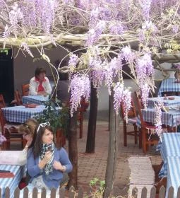 Lilaakác Kisvendéglő