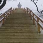 Andrássy Rezidencia Wine & Spa Tarcal - Környék