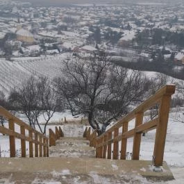 Andrássy Rezidencia Wine & Spa Tarcal - Környék