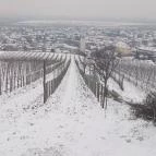 Andrássy Rezidencia Wine & Spa Tarcal - Környék