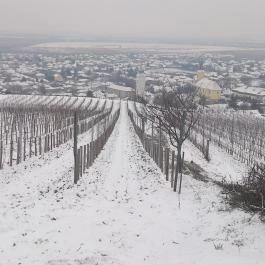 Andrássy Rezidencia Wine & Spa Tarcal - Környék