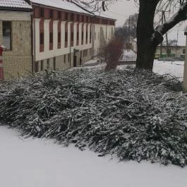 Andrássy Rezidencia Wine & Spa Tarcal - Medence/kert