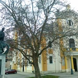 Apartman Hotel, Sárvár - Külső kép
