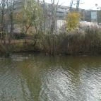 Apartman Hotel Sárvár - Környék