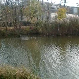 Apartman Hotel, Sárvár - Környék