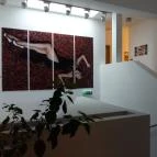 Pilvax Hotel Kalocsa - Belső