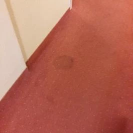 Hunguest Hotel Bál Resort, Balatonalmádi - Belső