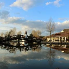 Bagolyvár Inárcs Inárcs - Medence/kert