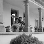 Rózsakert Vendégház Szomolya - Külső kép