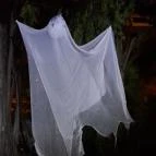 Aquincumi Múzeum és Régészeti Park Budapest - Egyéb